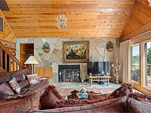 Living Room Fireplace